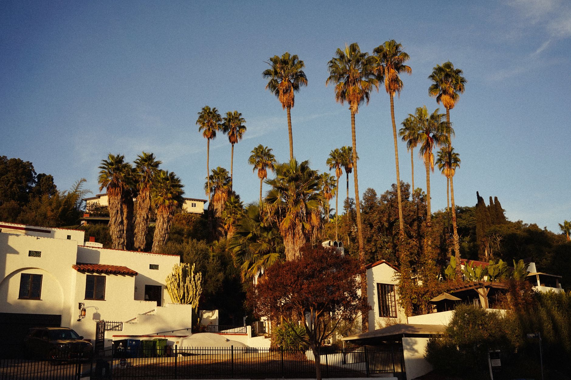 sleek white stucco home with flat roof and desert landscaping surrounded by palm trees in Los Angeles California