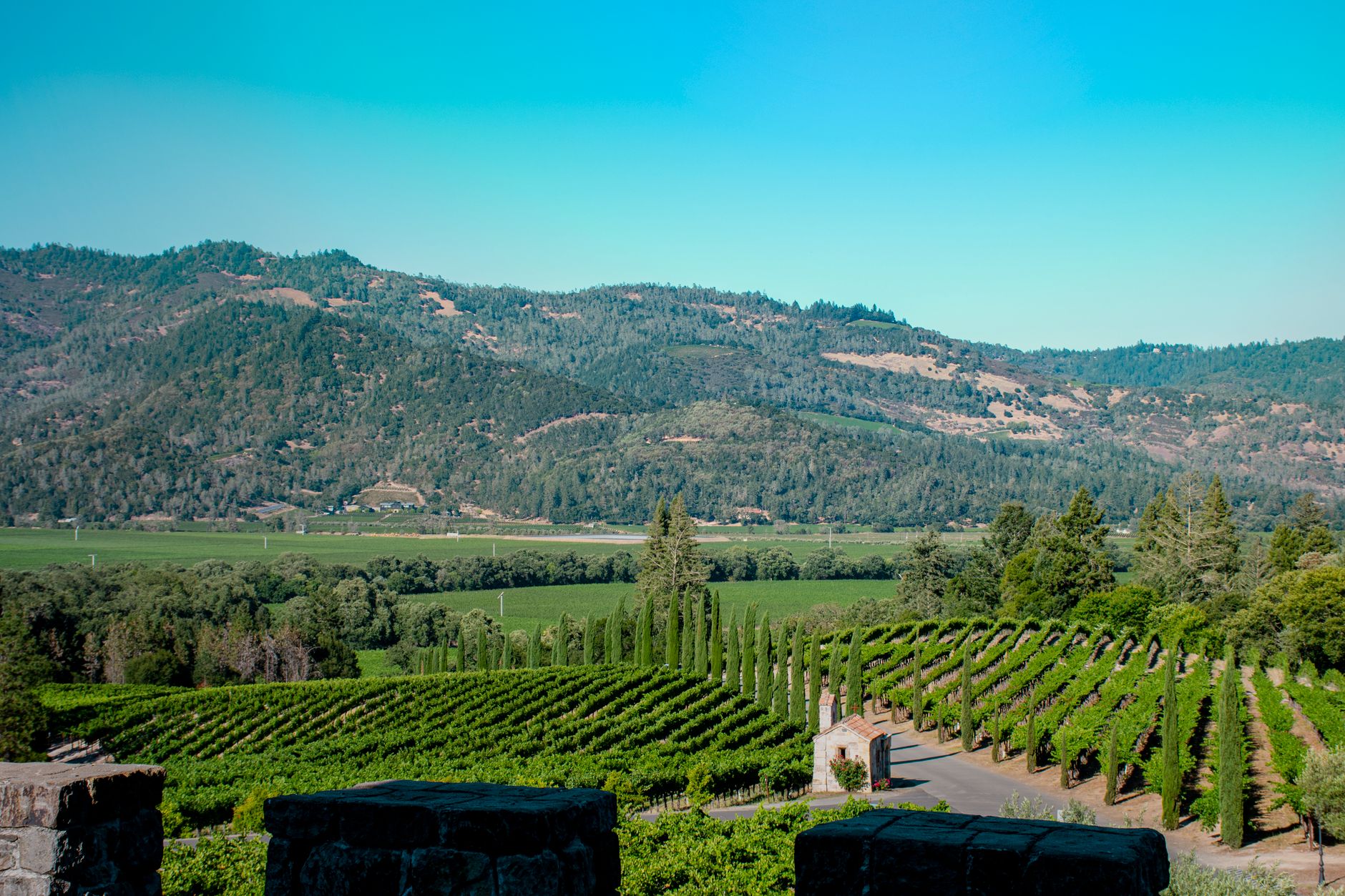 elegant wine country estate with stone walls and mature oak trees surrounded by vineyard in Napa Valley California at dusk