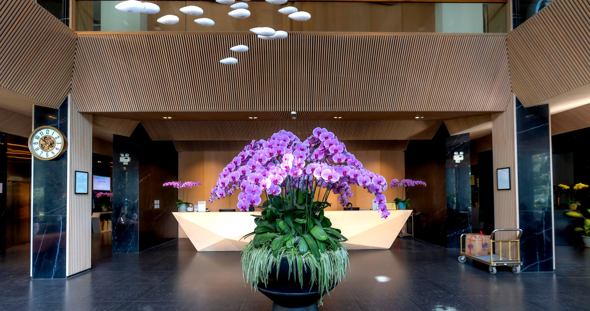 luxury resort reception with white marble desk fresh orchid arrangement and view through glass to tropical garden