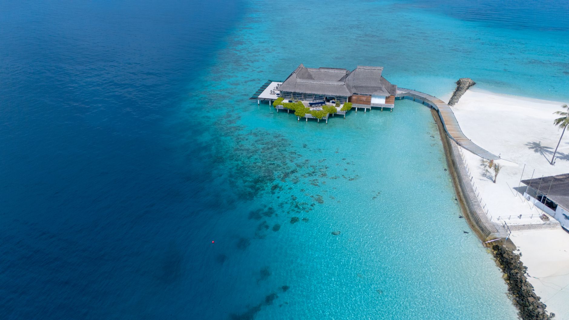 overwater spa treatment room with glass floor panels revealing shallow turquoise reef below and open ocean view